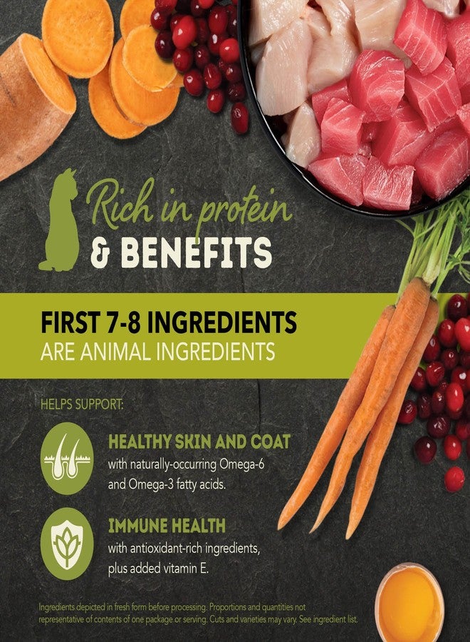 (أسنى) مجموعة متنوعة من طعام القطط الرطب ACANA Chunks in Broth: وصفات سمك السلمون والدجاج + وصفات لحم الضأن والكلى، علب 3 أونصة (12 علبة، 6 علب من كل نوع) - Image 3