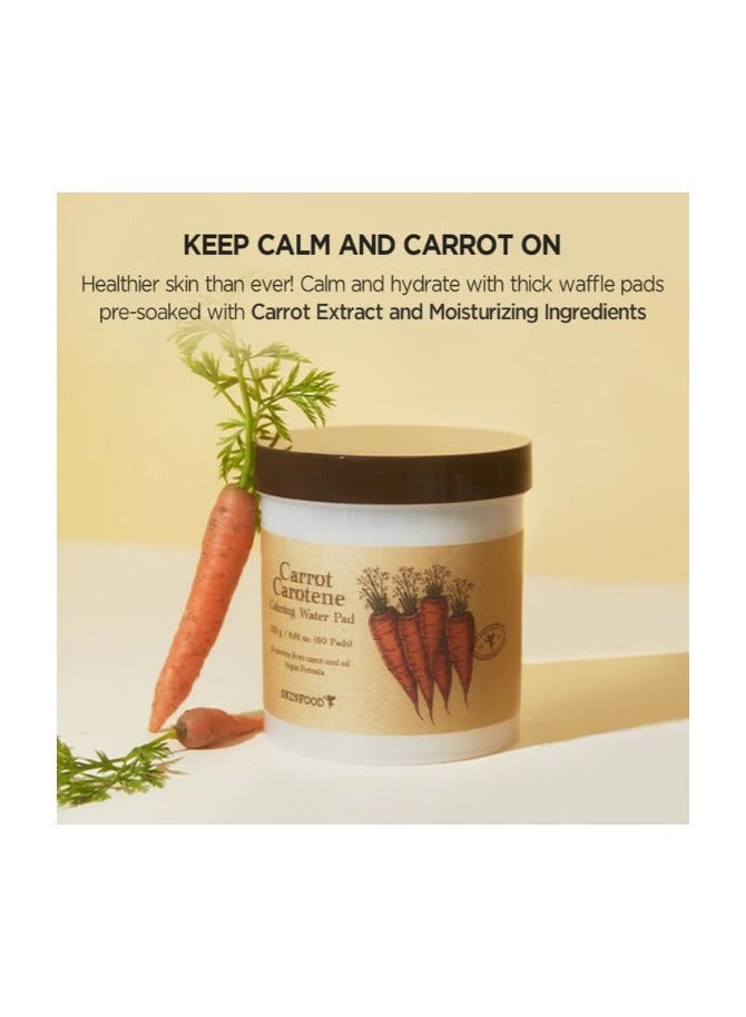 سكين فوود سكين فود 100% نباتي، كاروتين، جزر، مهدئ ومرطب، ماء 250 جرام (60 قطعة) - Image 2