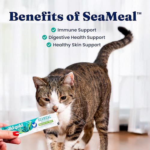 Solid Gold Lickable Cat Treats - Limited Ingredient Chicken SeaMeal™ Squeezable Healthy Cat Treats for Indoor Cats - Snack & Topper Squeeze Ups for Cats w/Seaweed for Gut & Immune Support - 3oz/30ct - Image 4