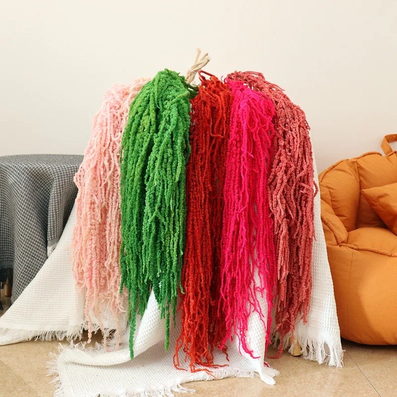 Bluejw 5pcs Real Dried Amaranthus Caudatus – White & Red Preserved Hanging Flowers for Wedding Bouquets, Floral Arrangements & Home Decor – Bulk Dried Plants - Image 3