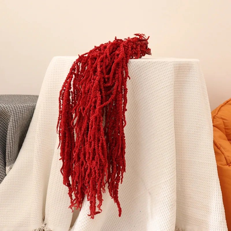 Bluejw 5pcs Real Dried Amaranthus Caudatus – White & Red Preserved Hanging Flowers for Wedding Bouquets, Floral Arrangements & Home Decor – Bulk Dried Plants - Image 1