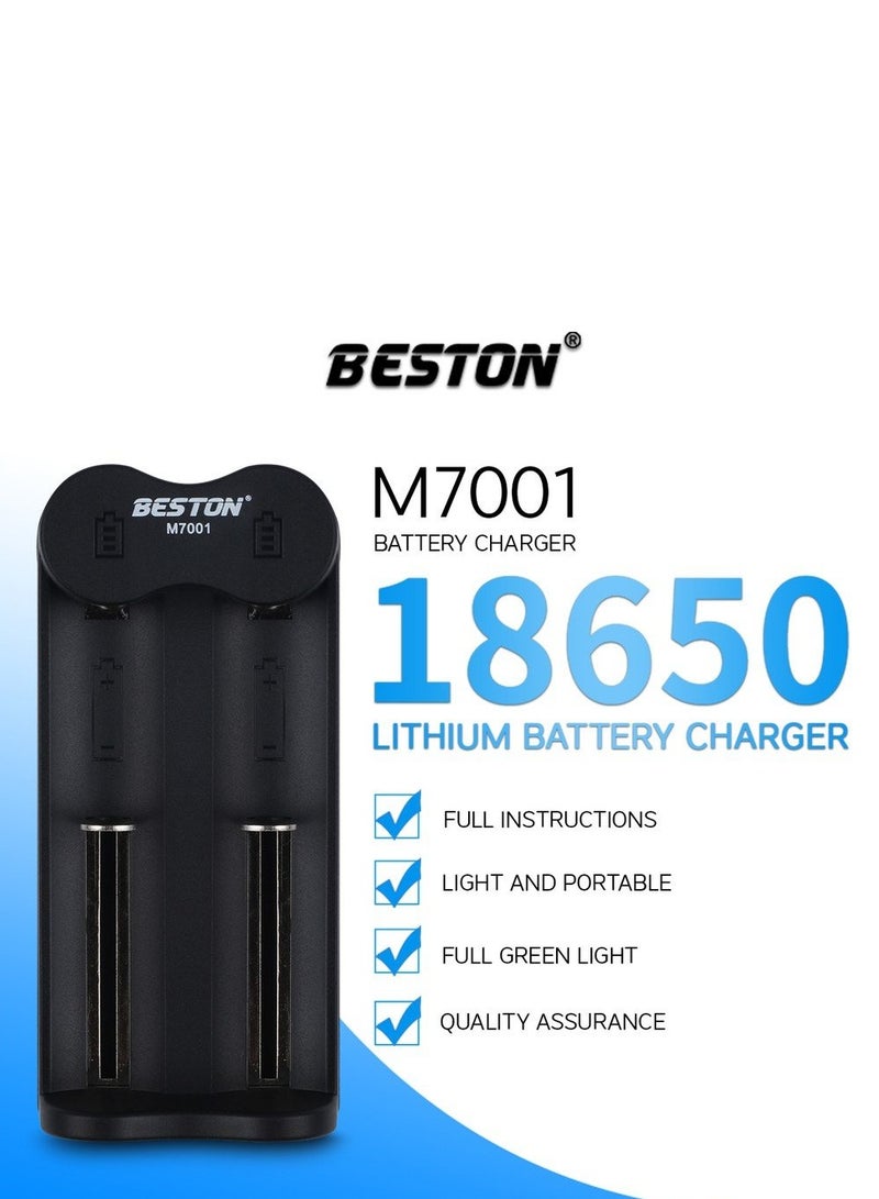 بيستون شاحن بستون M7001 مزدوج: شاحن مزدوج يوفر حلول شحن فعالة لأنواع البطاريات المتوافقة. - Image 5