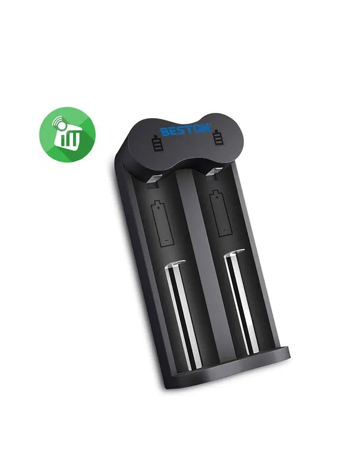 بيستون شاحن بستون M7001 مزدوج: شاحن مزدوج يوفر حلول شحن فعالة لأنواع البطاريات المتوافقة. - Image 1