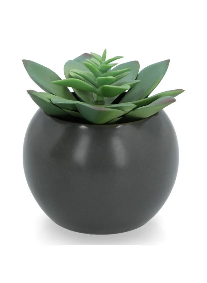 اتموسفيرا مجموعة نباتات عصارية صناعية واقعية خفيفة الوزن بقاعدة مسطحة من  قطع متعددة الألوان