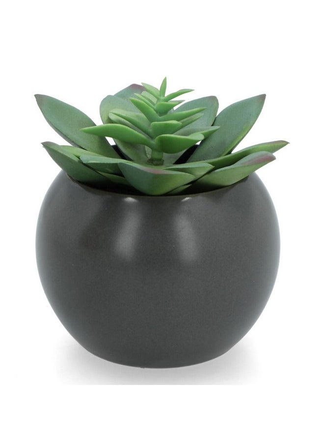 atmosphera 4-Piece Lightweight Realistic Flat Base Succulent Artificial Plant Set Multicolor 12.2 x 9.2 x 8.4 cm 20967  - Image 1