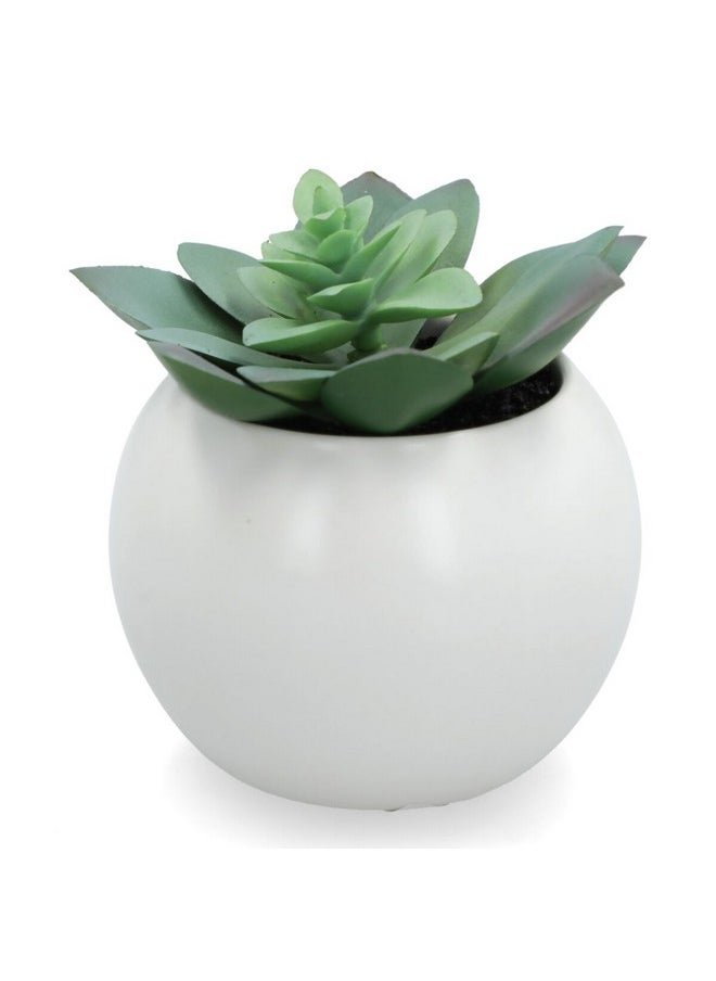 atmosphera 4-Piece Lightweight Realistic Flat Base Succulent Artificial Plant Set Multicolor 12.2 x 9.2 x 8.4 cm 20967  - Image 3
