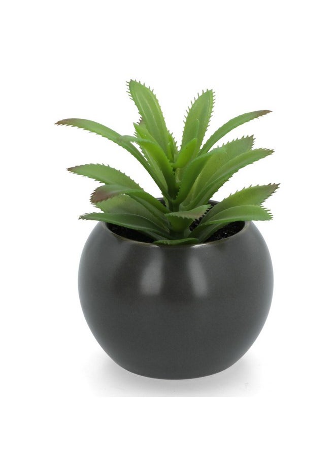 atmosphera 4-Piece Lightweight Realistic Flat Base Succulent Artificial Plant Set Multicolor 12.2 x 9.2 x 8.4 cm 20967  - Image 4