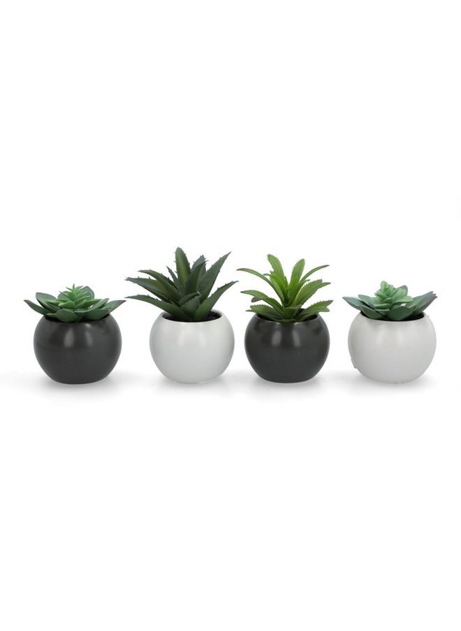 atmosphera 4-Piece Lightweight Realistic Flat Base Succulent Artificial Plant Set Multicolor 12.2 x 9.2 x 8.4 cm 20967  - Image 5