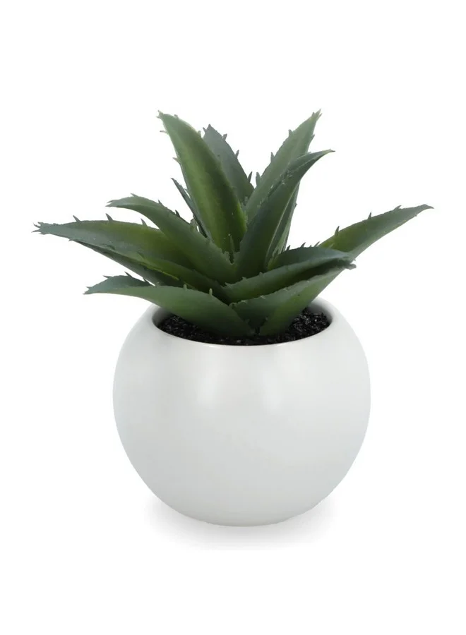 اتموسفيرا مجموعة نباتات عصارية صناعية واقعية خفيفة الوزن بقاعدة مسطحة من  قطع متعددة الألوان