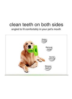 Dog Toothbrush Stick Brite Bite Brushing Sticksafety Rubber Tooth Brush Cleaning Chew Toy Pets Molars And Dogs Oral Care Green - pzsku/Z6425DECC85BB17AE66EDZ/45/_/1690332331/c6f9983a-4863-4b06-8759-10275a901ba7