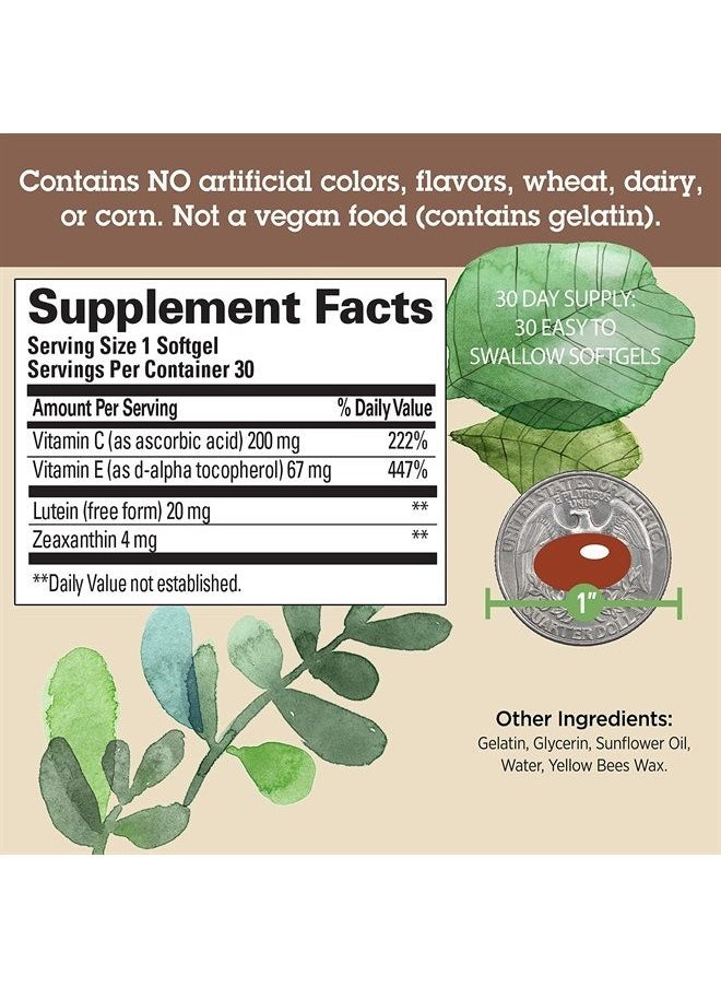 Quantum Health See Lutein+ Vision Supplement|Helps Maintain Overall Eye Health|Formulated with Lutein, Zeaxanthin, and Vitamins C and E|30 Softgels, 30 Day Supply  - Image 3