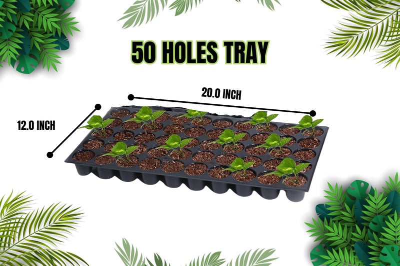 Halsey Germination Seedling Tray -50 Big Holes Seedling Treys for Plants, Seed Trey and Plant Tray, Reusable Trays for Garden Plantation, 50 Big Cavities Tray for Seeding (Pack of 100) - Image 2