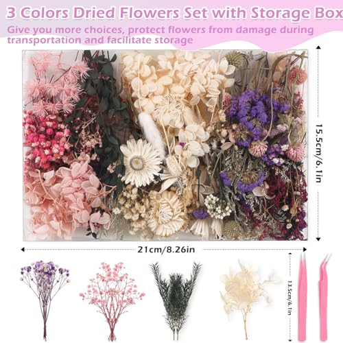 Comkrivy Real Dried Flowers 100% Natural Dried Flowers, Mixed Colors Dried Leaf Flowers for DIY Arts and Crafts Candles Resin Jewelry Nail Pendant Cards Scrapbooking Wedding Home Decoration - Image 2