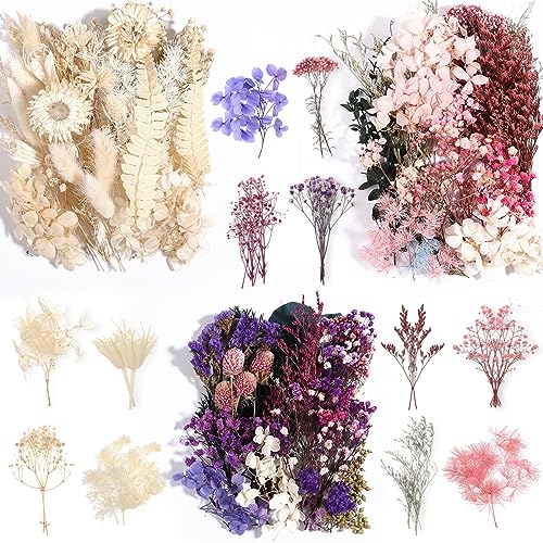Comkrivy Real Dried Flowers 100% Natural Dried Flowers, Mixed Colors Dried Leaf Flowers for DIY Arts and Crafts Candles Resin Jewelry Nail Pendant Cards Scrapbooking Wedding Home Decoration - Image 1