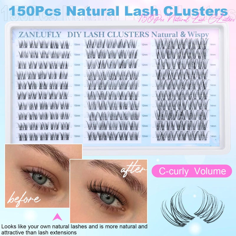 zanlufly Wispy Lash Clusters Natural Eyelash Clusters C-Curly Cluster Lashes zanlufly Wispy Individual Lashes 150Pcs Eyelash Extension 10 12 14MM DIY Lash Extension - Image 5