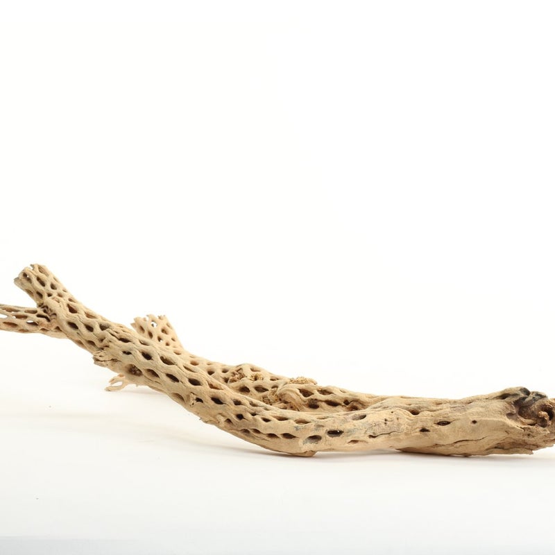 Koyal Wholesale Cholla Wood 12 Aquarium  Terrarium Accessories