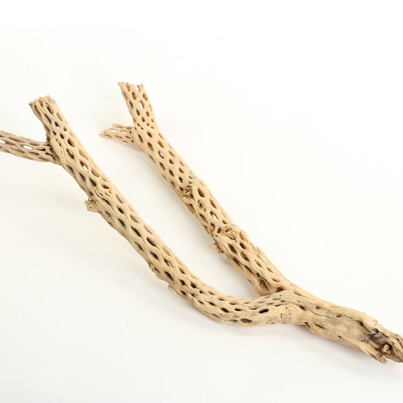 خشب تشولا بالجملة 12 ملحقات حوض السمك والتيراريوم