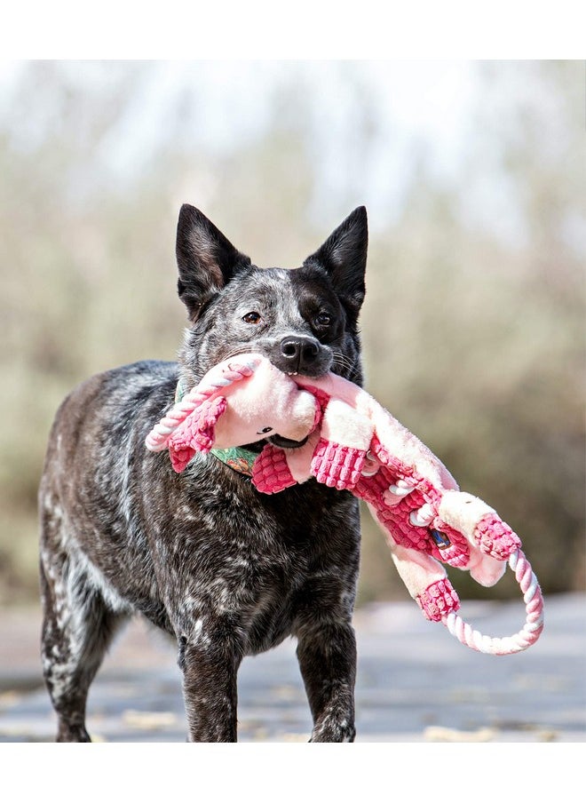 اوتورد هاوند لعبة شد الكلاب التفاعلية المحشوة ذات الصرير من Outward Hound من Charming Pet Ropes-A-Go-Go Gator  - Image 2