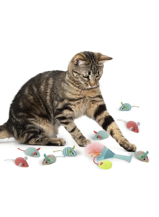 SmartyKat - SmartyKat (16 Set Bundle Birthday Bash Variety Pack Catnip Cat Toys - Multi Color, Set of 16 - Image 1