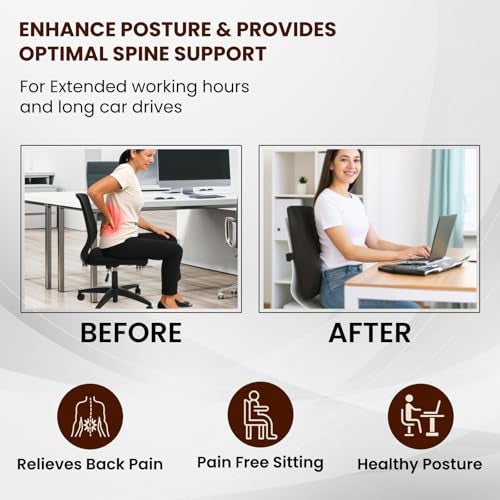 ARUNAVI Back Rest Support for Office Chair – Orthopedic Lumbar Back Rest Spine Cushion – Car Seat Back Support Pillow – Ergonomic Back Pillow for Sitting at Work, Home, or Travel (Mesh Black) - Image 4