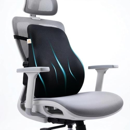 ARUNAVI Back Rest Support for Office Chair – Orthopedic Lumbar Back Rest Spine Cushion – Car Seat Back Support Pillow – Ergonomic Back Pillow for Sitting at Work, Home, or Travel (Mesh Black) - Image 1
