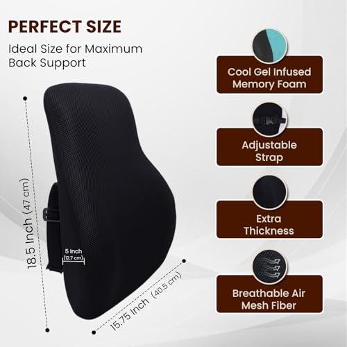 ARUNAVI Back Rest Support for Office Chair – Orthopedic Lumbar Back Rest Spine Cushion – Car Seat Back Support Pillow – Ergonomic Back Pillow for Sitting at Work, Home, or Travel (Mesh Black) - Image 2
