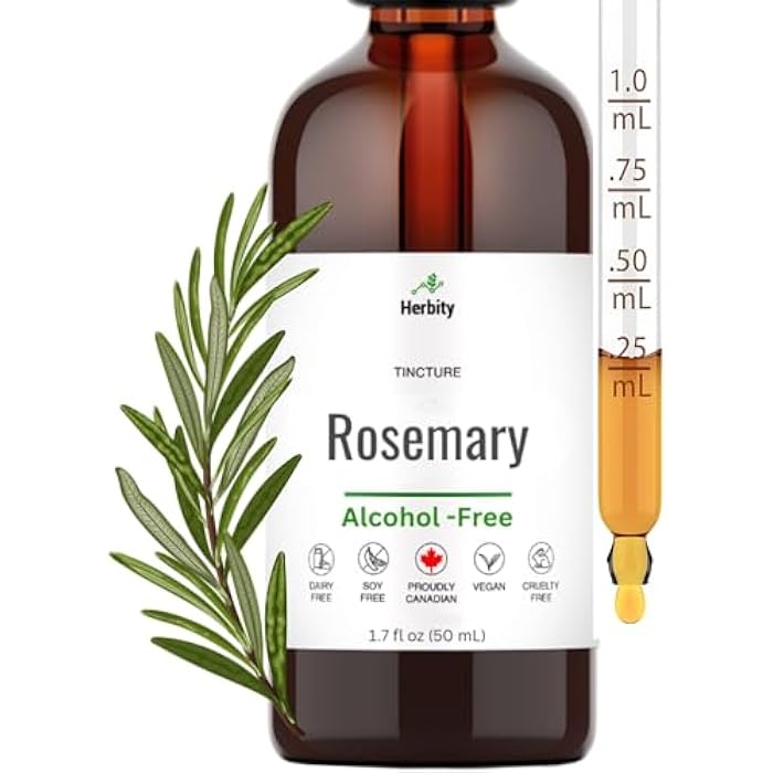 Herbity Rosemary Tincture – Alcohol-Free Herbal Extract for Focus, Circulation & Digestive Support – Vegan, Non-GMO, Glycerin-Based Supplement – (1.7 Fl Oz) - Image 1