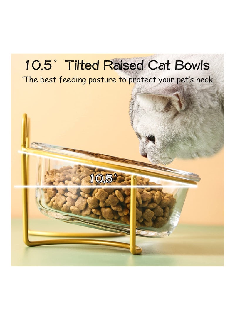 SOLARAE Dog and Cat Bowls Elevated Set, 15° Tilted Cat Food Double Bowls with Anti Slip Iron Stand Transparent Cat Feeder Raised Food and Water Bowls for Indoor Cats Dogs, 16 Ounces Each - Image 3