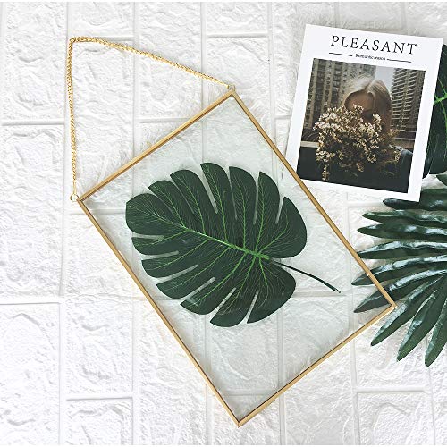 fujack Glass Frame for Dried Flowers, Glass Brass Photo Frame for Wall Hanging Decor Display DIY Pressed Flowers Plant Specimen Picture Frame Geometric Ornament 8x12 Inches - Image 5