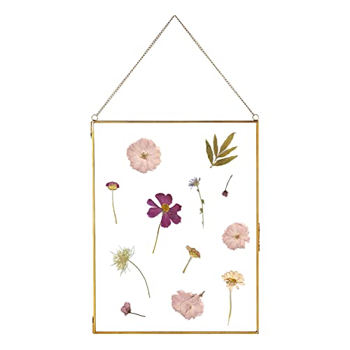 fujack Glass Frame for Dried Flowers, Glass Brass Photo Frame for Wall Hanging Decor Display DIY Pressed Flowers Plant Specimen Picture Frame Geometric Ornament 8x12 Inches - Image 1