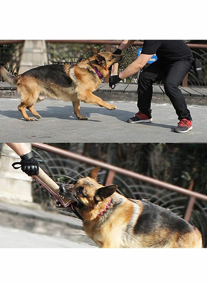 Dog Pull Toy, Tug-of-War Dog Rope Toy, Dog Pull Toy, for Chewing Indestructible Dog Toothbrush - Image 4