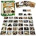 gisgfim 50 Pairs Memory Matching Game Wild Animals Concentration Memory Card Matching Games - Image 2