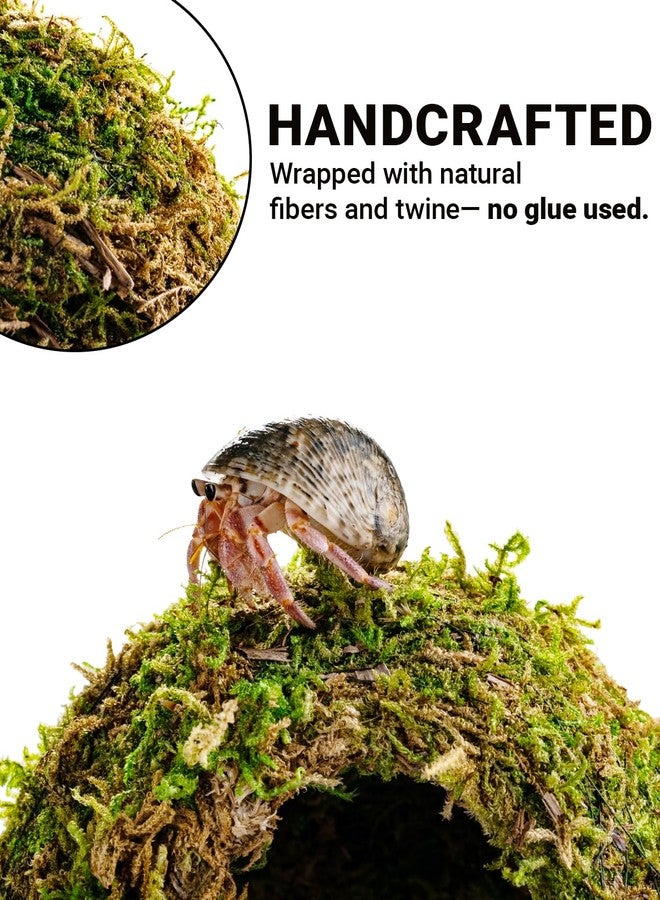 ORBIDYN Hermit Crab Climbing Toys & Habitat - Natural-Look Shelter with Textured Surface, Hermit Crab Accessories for Crabs Under 1.6in (Green, Small (for ≤1.6in Crabs)) - Image 3