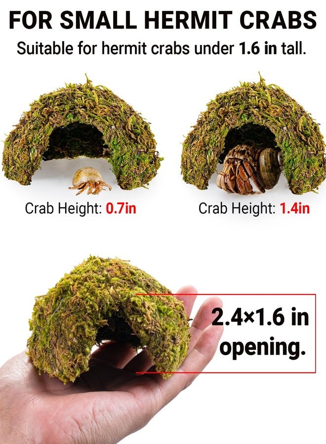 ORBIDYN Hermit Crab Climbing Toys & Habitat - Natural-Look Shelter with Textured Surface, Hermit Crab Accessories for Crabs Under 1.6in (Green, Small (for ≤1.6in Crabs)) - Image 2