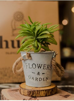 Natural plant