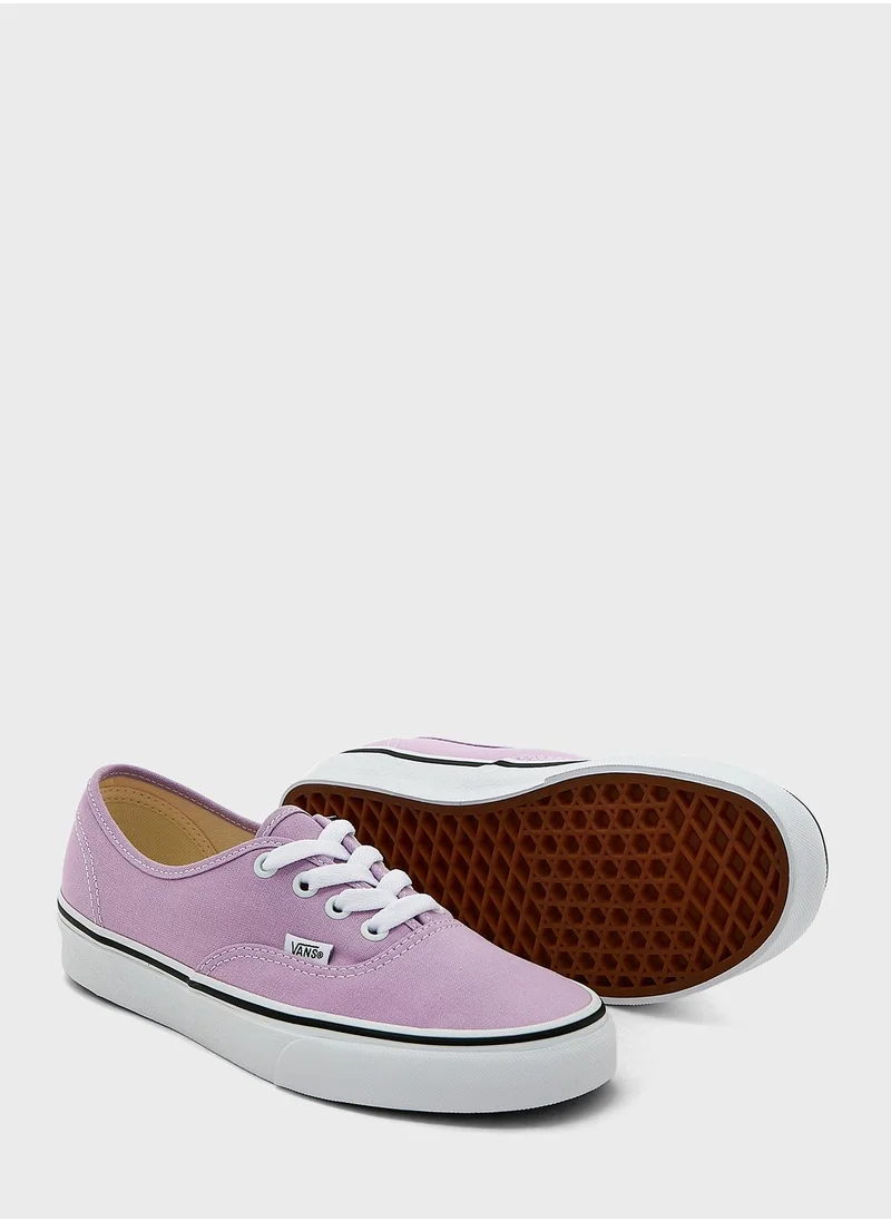 VANS Authentic