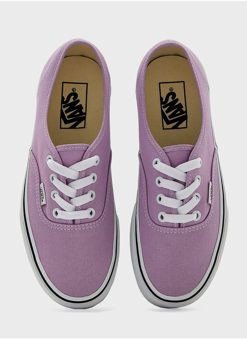 VANS Authentic
