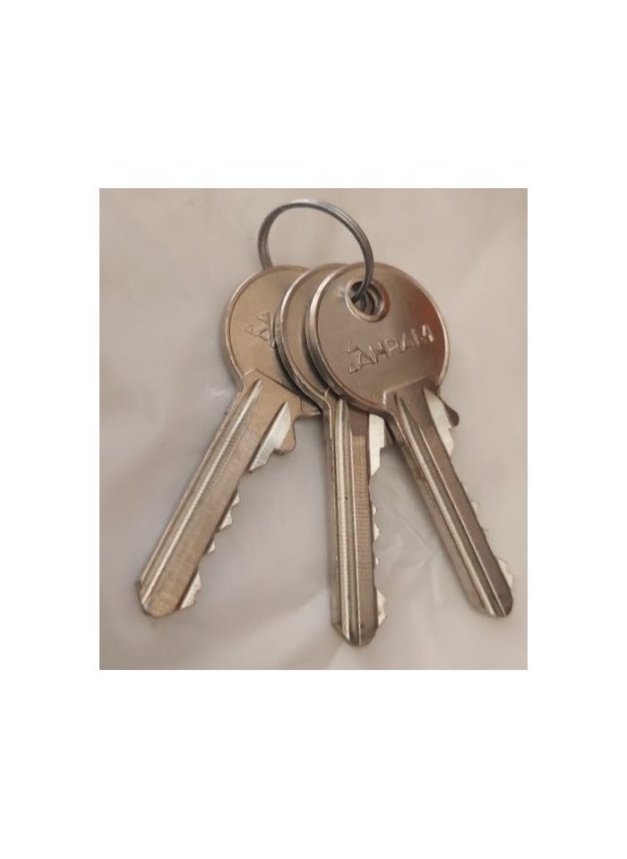 A regular apartment door with 3 keys from AlAhram  - Image 5