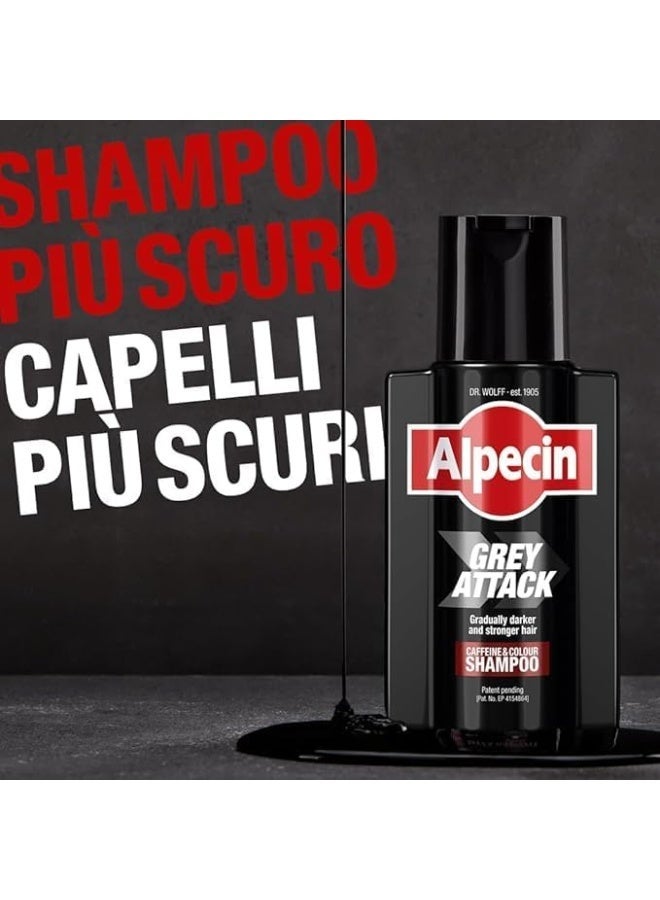ألبيسين شامبو ألبسين غراي أتاك بالكافيين والملون للرجال 200 مل - Image 3