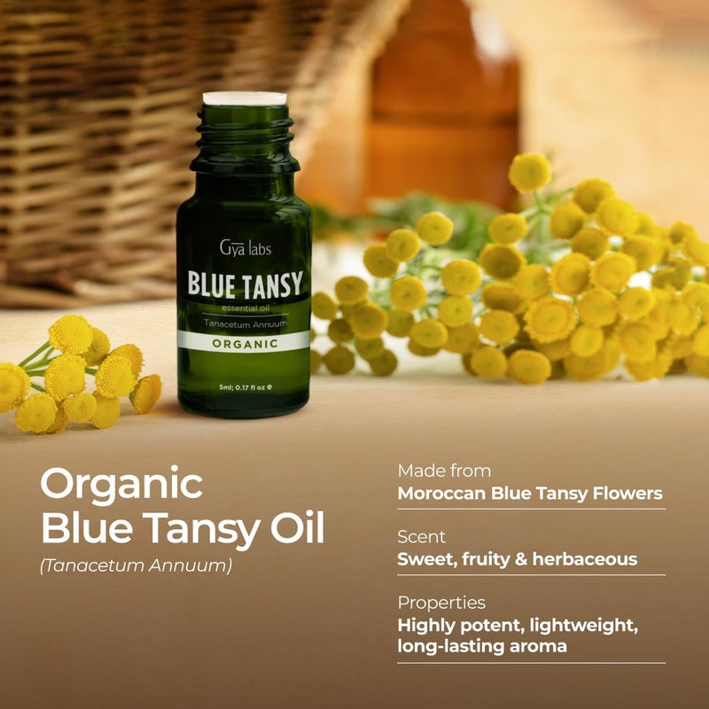 Gya Labs Blue Tansy Essential Oil - 0.17 Fl Oz - for Hair, Skin, Diffuser, Aromatherapy & DIY Candle Making Scent - Image 3