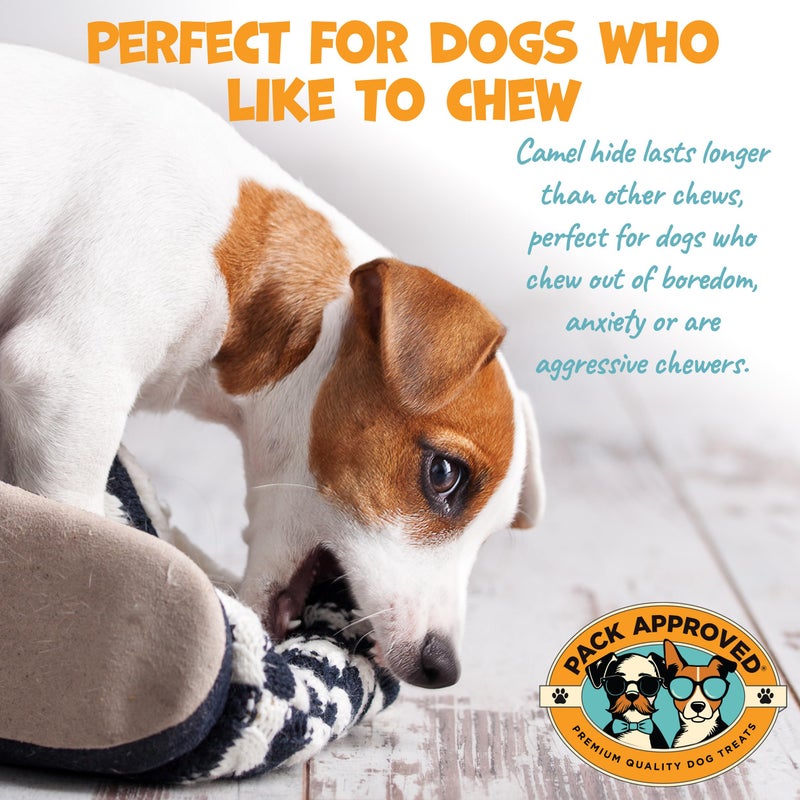 Pack Approved Camel Skin Dog Chews for Aggressive Chewers - Hypoallergenic Natural Collagen Sticks for Dental Health & Protein Boost - Long Lasting Treats for Large Dogs - Image 3