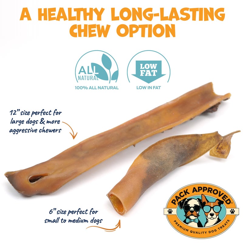 Pack Approved Camel Skin Dog Chews for Aggressive Chewers - Hypoallergenic Natural Collagen Sticks for Dental Health & Protein Boost - Long Lasting Treats for Large Dogs - Image 5