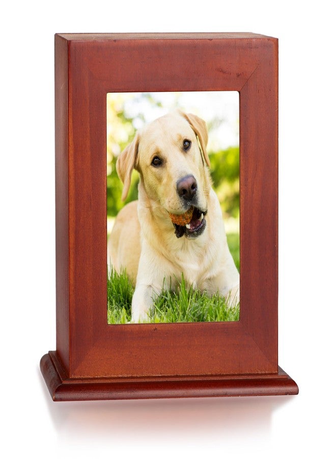 DiDiBirDi Pet Urn for Ashes with Photo Frame, Brown Wooden Dog Memorial Box with Velvet Storage Bag and Photo Frame (60lbs) - Image 1