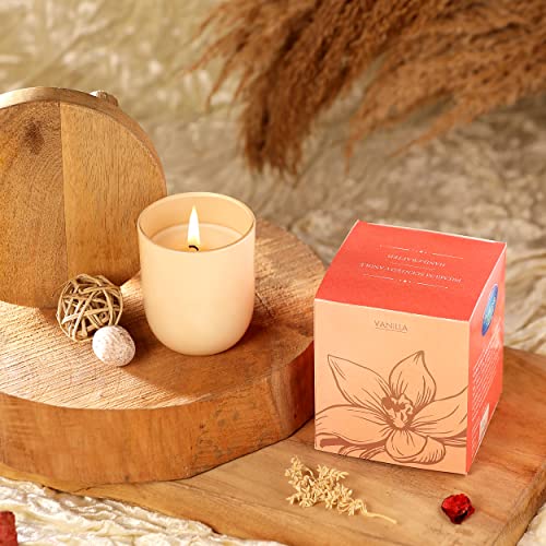 Parkash Candles Premium Scented Glass Candle (Vanilla) - Image 1