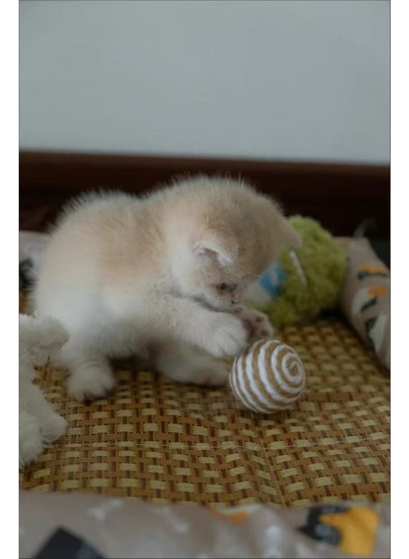 Summer Rattan Cooling Bed for Kittens - Image 5