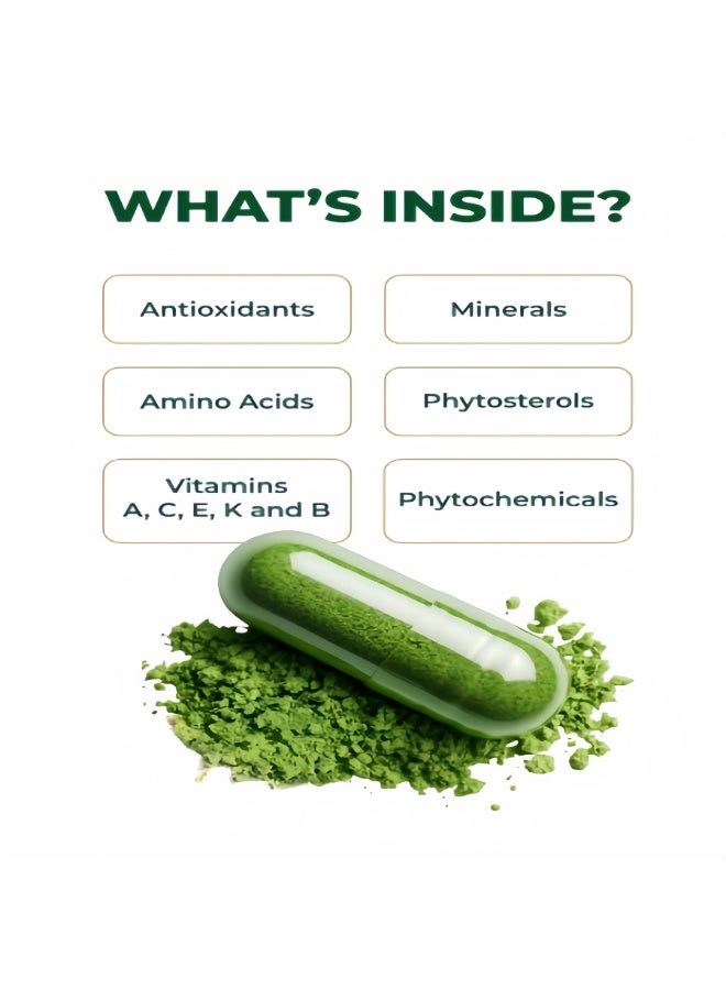 مورينجا كبسولات ورق المورينجا 100% نقية (120 قطعة، 500 مجم) - دعم الصحة اليومية - Image 2