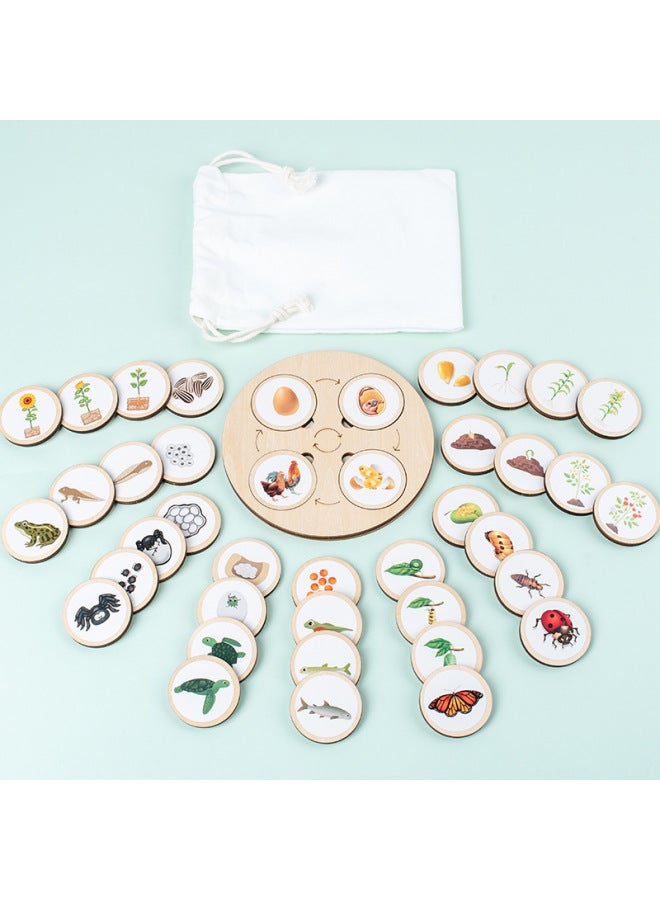 Montessori Wooden Life Cycle Deduction Plate Animal And Plant Growth Puzzle Natural Science Enlightenment Early Education Puzzle-Color:Lifecycle Deduction Board - Image 1