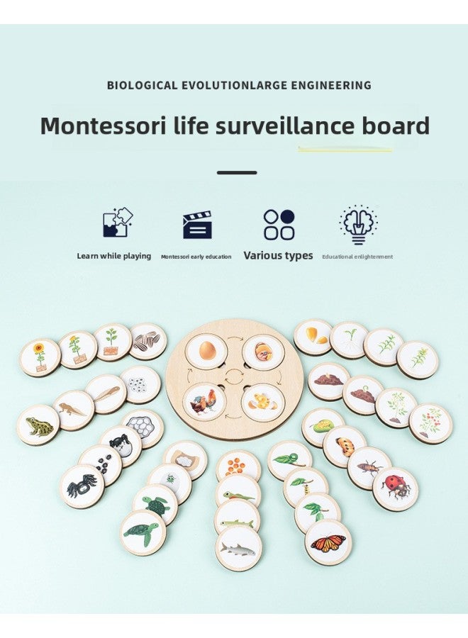 Montessori Wooden Life Cycle Deduction Plate Animal And Plant Growth Puzzle Natural Science Enlightenment Early Education Puzzle-Color:Lifecycle Deduction Board - Image 2