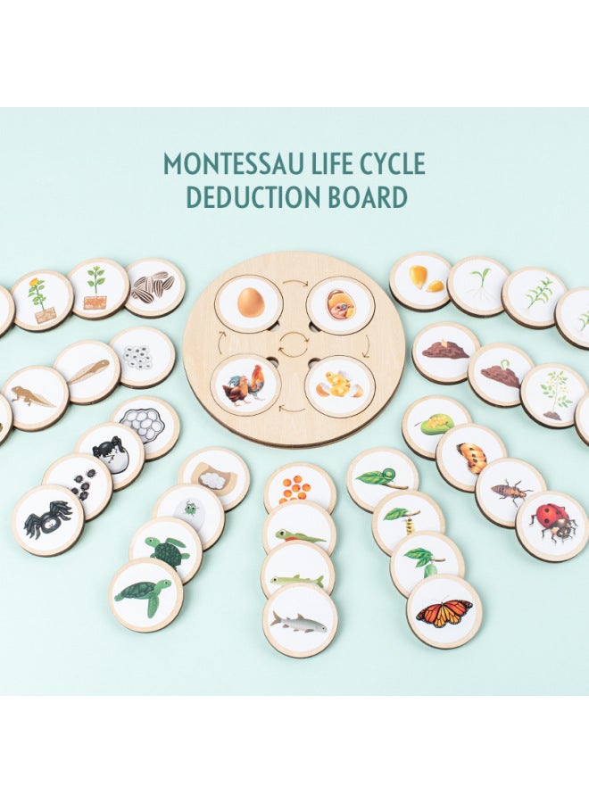 Montessori Wooden Life Cycle Deduction Plate Animal And Plant Growth Puzzle Natural Science Enlightenment Early Education Puzzle-Color:Lifecycle Deduction Board - Image 3