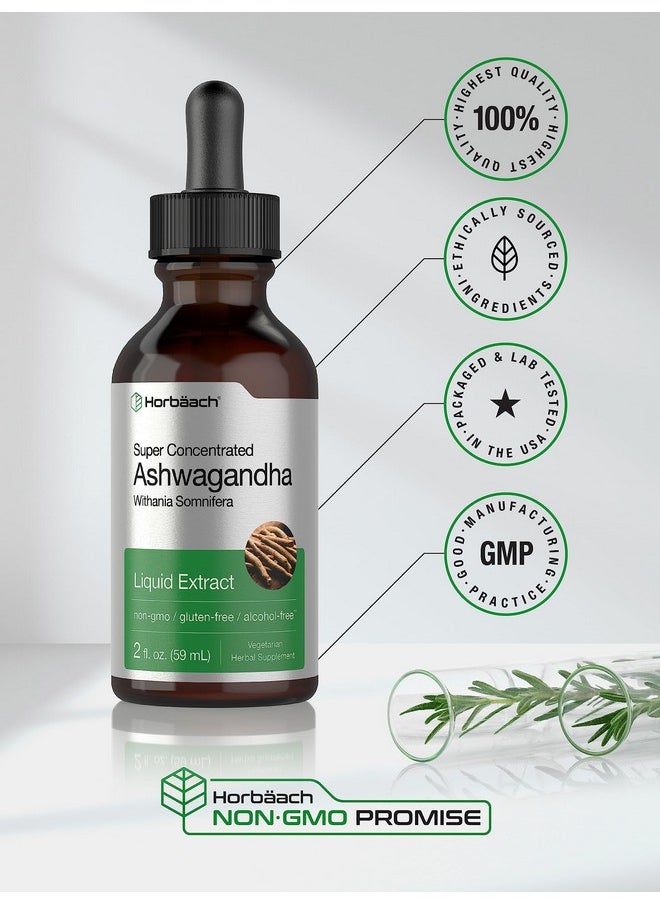 Horbaach Horbäach Ashwagandha Root Liquid Extract | 2 fl oz | Alcohol Free Tincture | Vegetarian, Non-GMO, Gluten Free Supplement  - Image 3